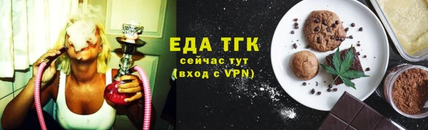 гашик Михайлов