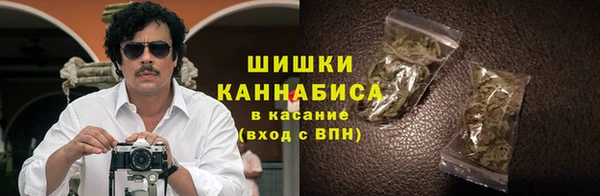 гашик Михайлов