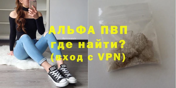 гашик Михайлов