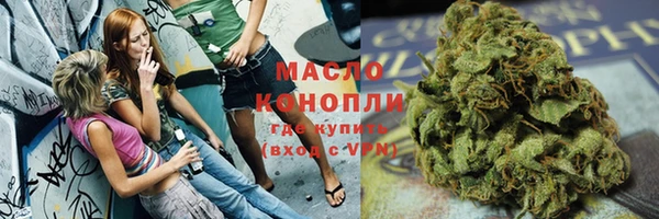 гашик Михайлов