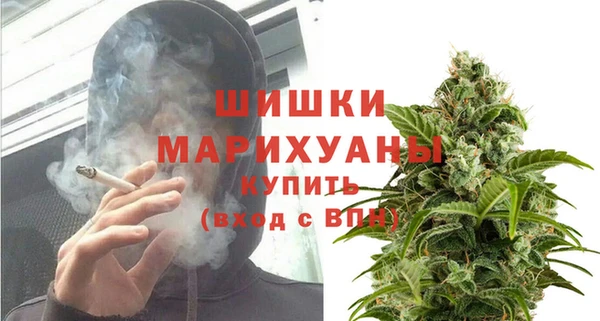 гашик Михайлов