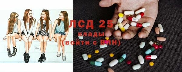 гашик Михайлов