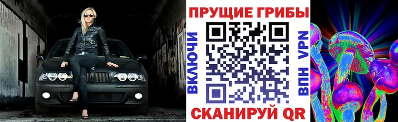 Галлюциногенные грибы MAGIC MUSHROOMS  Томилино 